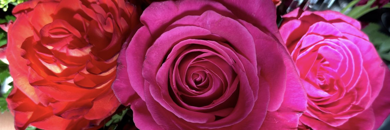 ℳ𝒾𝓂𝒾 ❀ banner