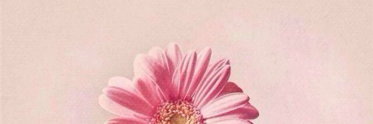 annsdnd's profile banner image