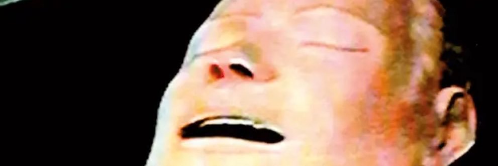 pollianaf1's profile banner image