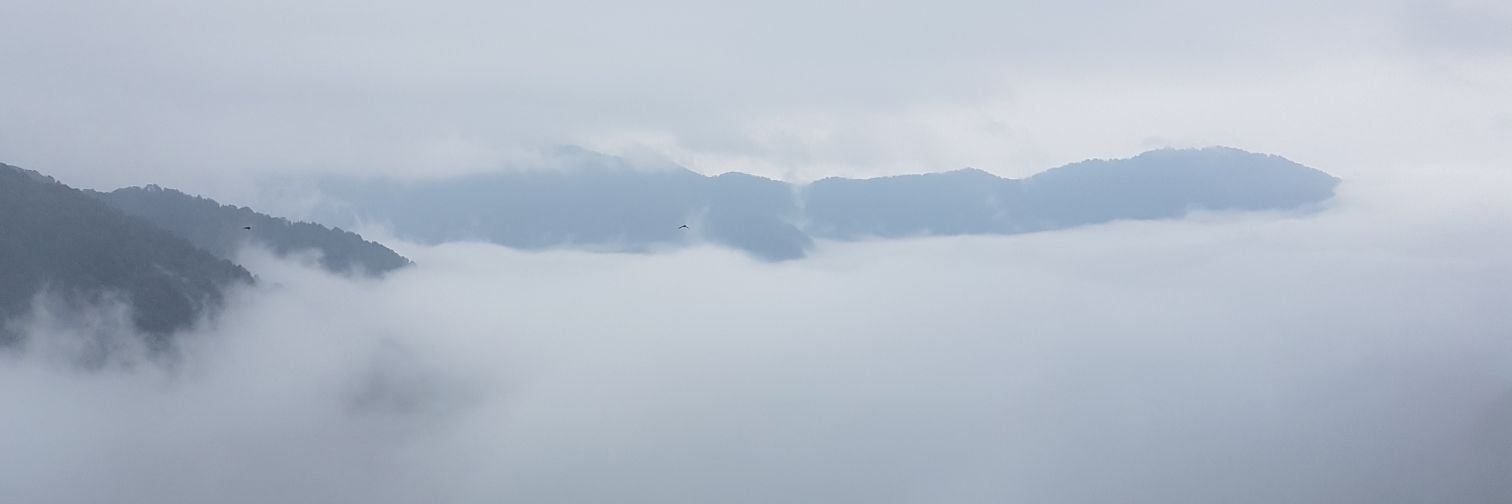 Epic1231's profile banner image