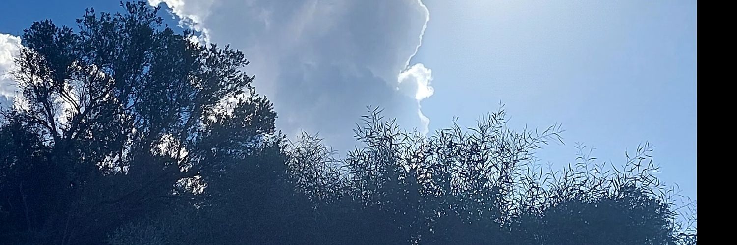 nesedemirag's profile banner image