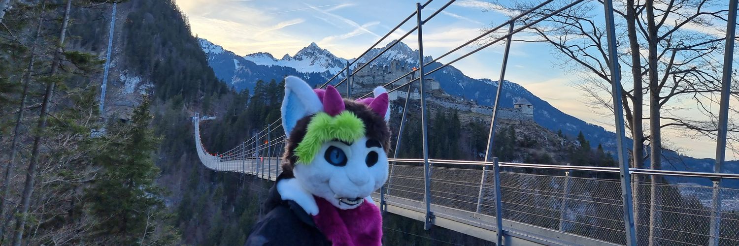 solidthedragon's profile banner image