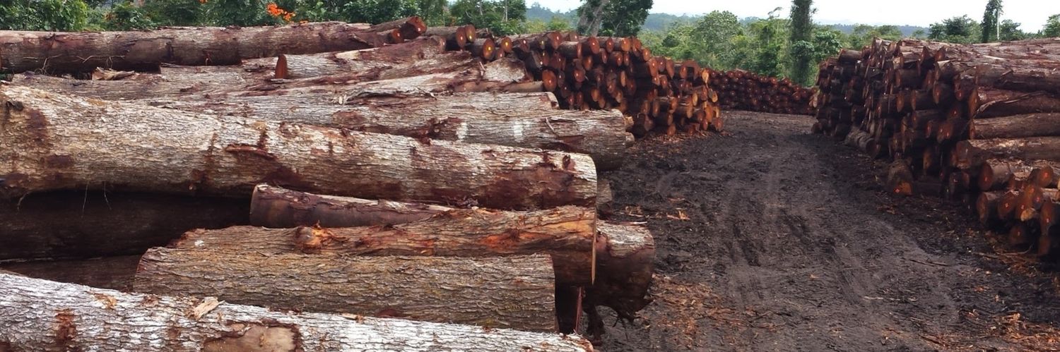 ResourcesFiji's profile banner image