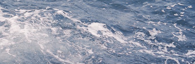 jellyahnx 💭 banner