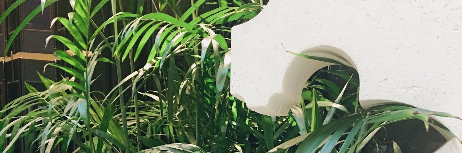 haileyatsea's profile banner image