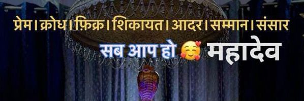 Shivi Tripathi banner