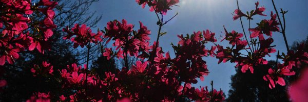 SimpliVityCorp Profile Banner