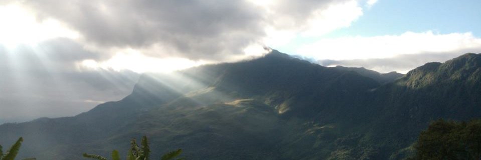 fomixch's profile banner image