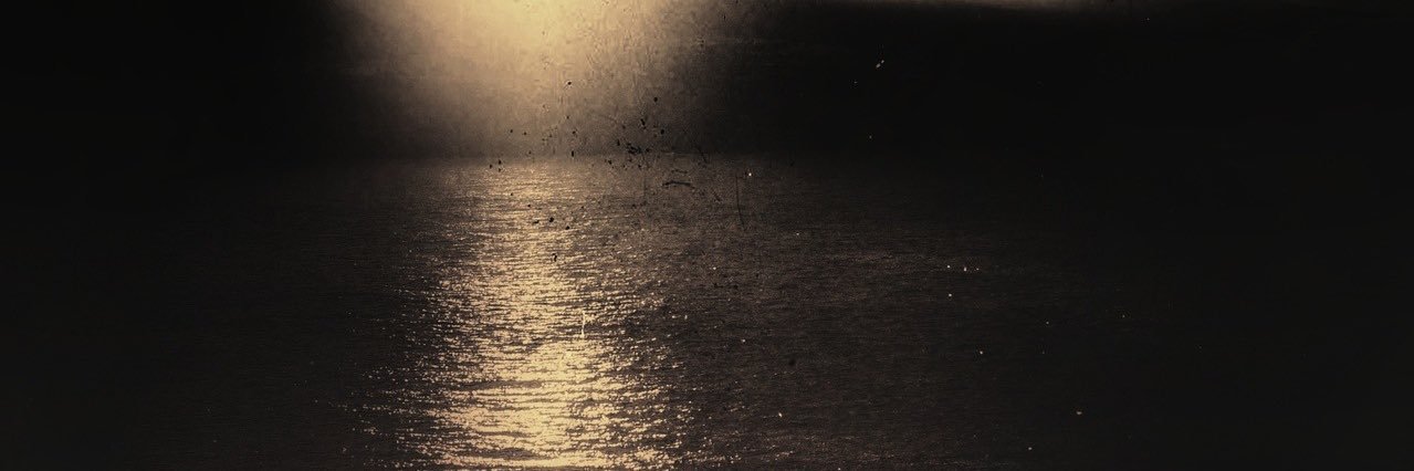 suz2918's profile banner image