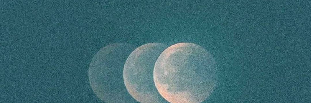 Fox-You banner