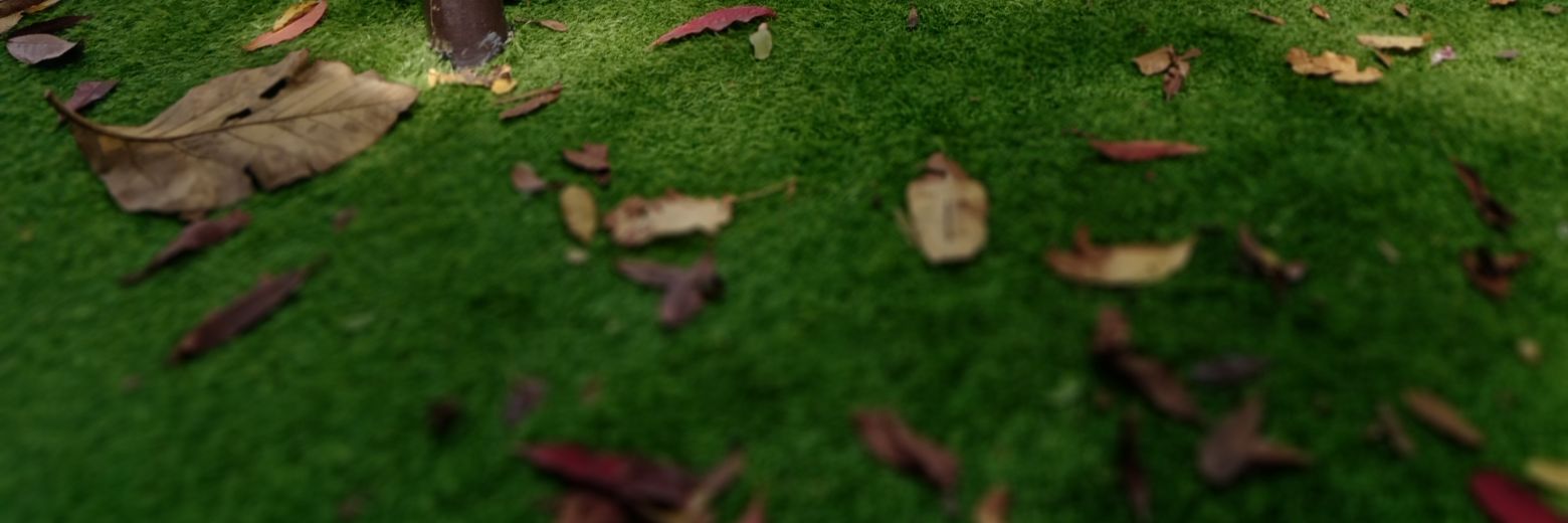 hidwr🍉❤️ banner