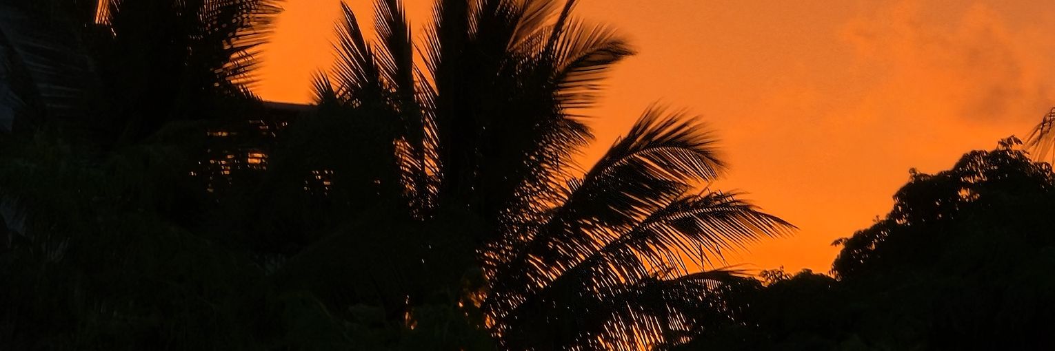 Yourboy🇲🇺 banner