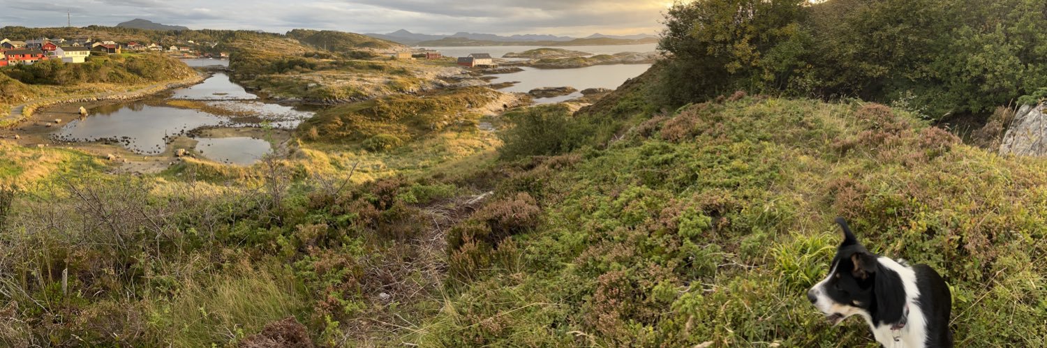 IfSueCouldFly's profile banner image