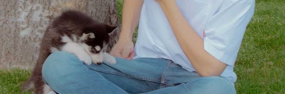 missboto's profile banner image