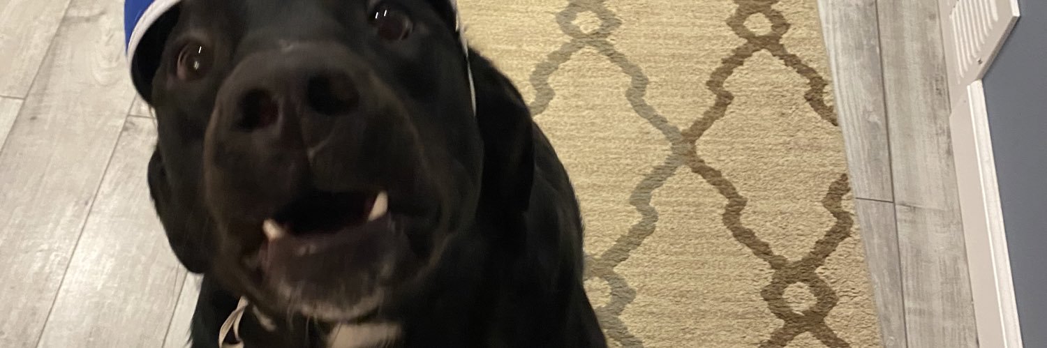 BorstMckenzie's profile banner image