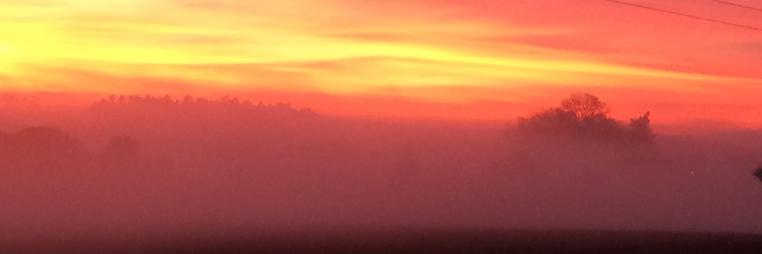 Senf88Rezi's profile banner image