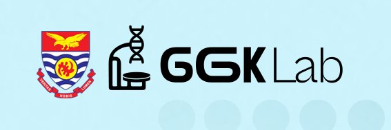 ggk_lab's profile banner image