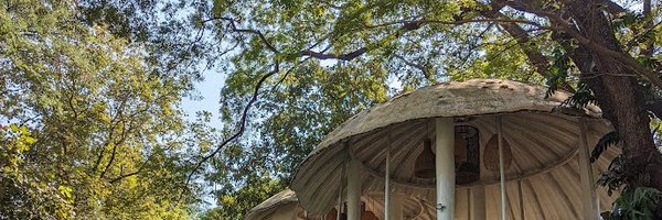 Jondpol8 Profile Banner