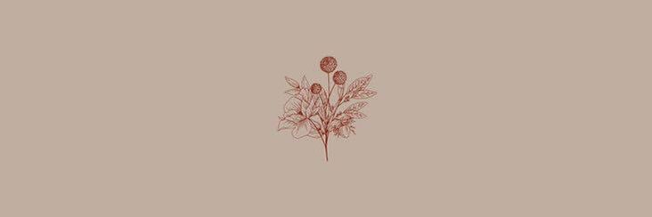 crbsonzer's profile banner image