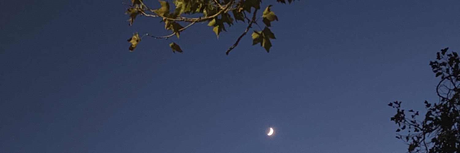 Jess Abughattas banner