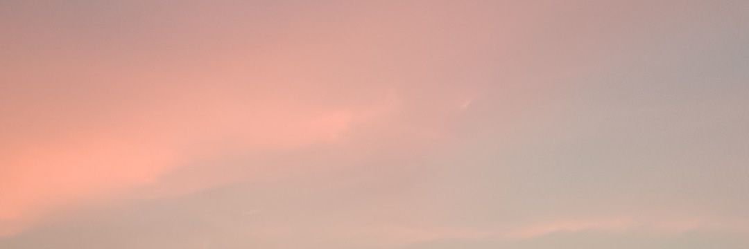 _annannya's profile banner image