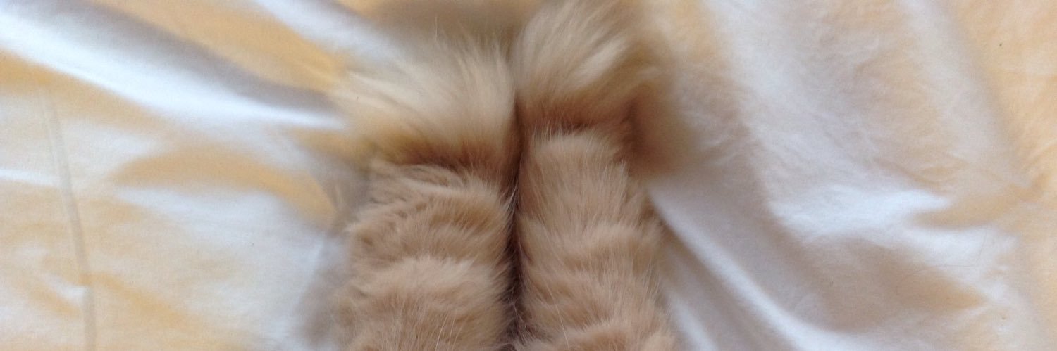 GCatAboutHouse's profile banner image
