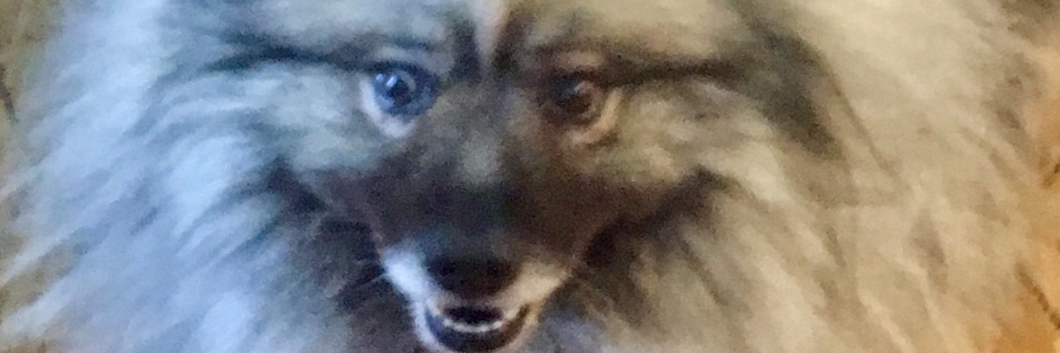 fibrowitch's profile banner image