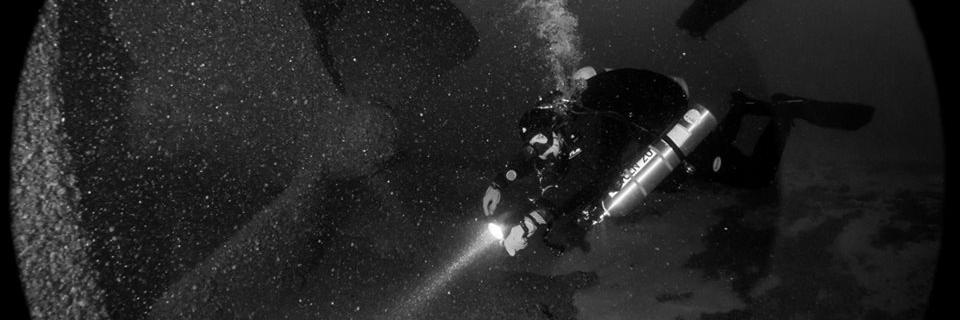 Duane Johnson banner