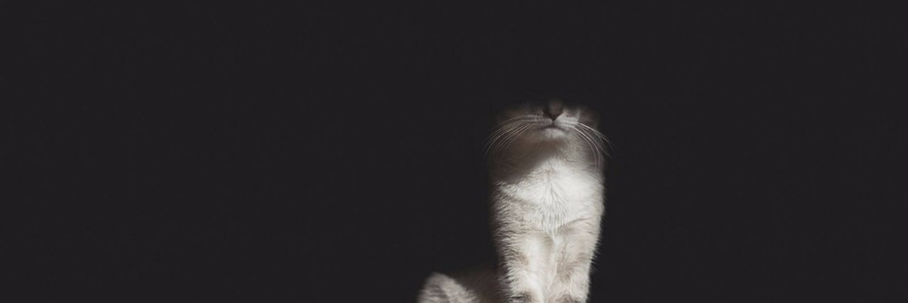 KonstantinKeri's profile banner image