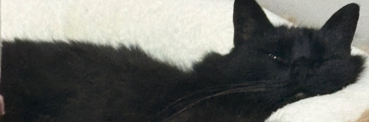 panchomikle's profile banner image
