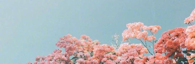 _jennifertong's profile banner image