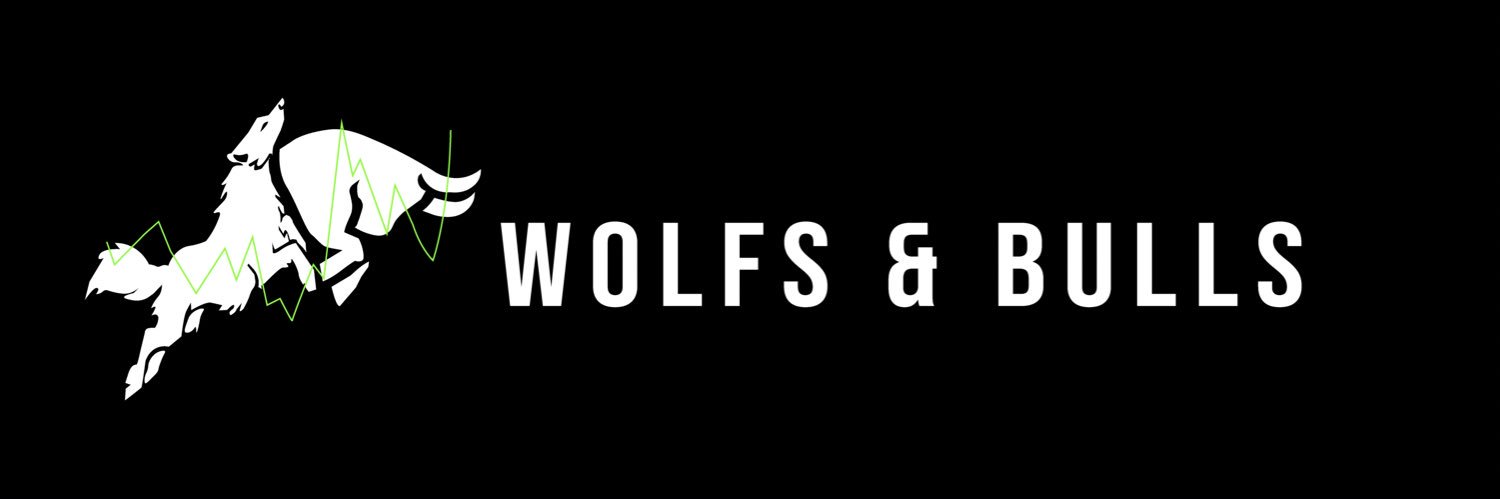 wolfsandbulls's profile banner image