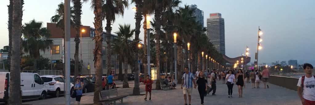 Petite banner