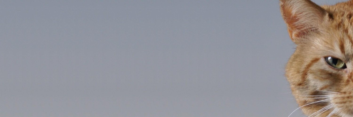 I like to rustle the packaging banner