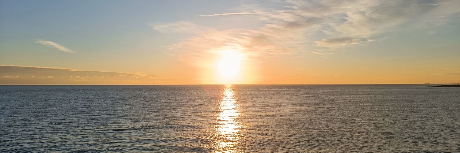 Tim 🦦🏳️‍🌈 banner