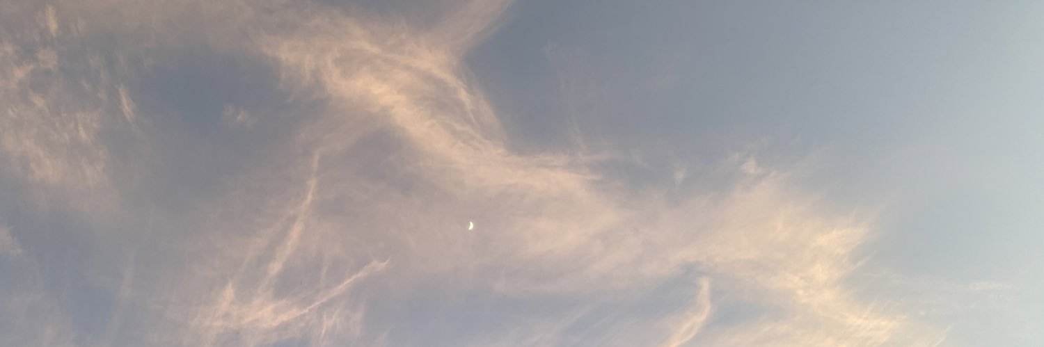 aphrodani's profile banner image