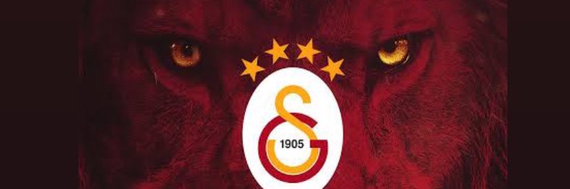 ozgedoserr's profile banner image