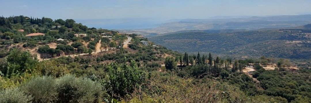שחר לביא's banner