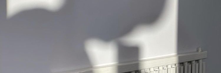 𝙉 ᑎ . banner