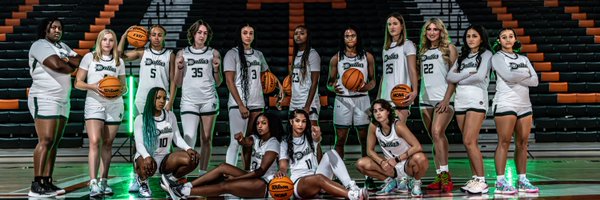 UTDALLAS_WBB Profile Banner