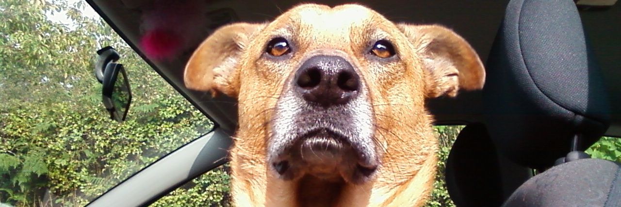 debbief658's profile banner image