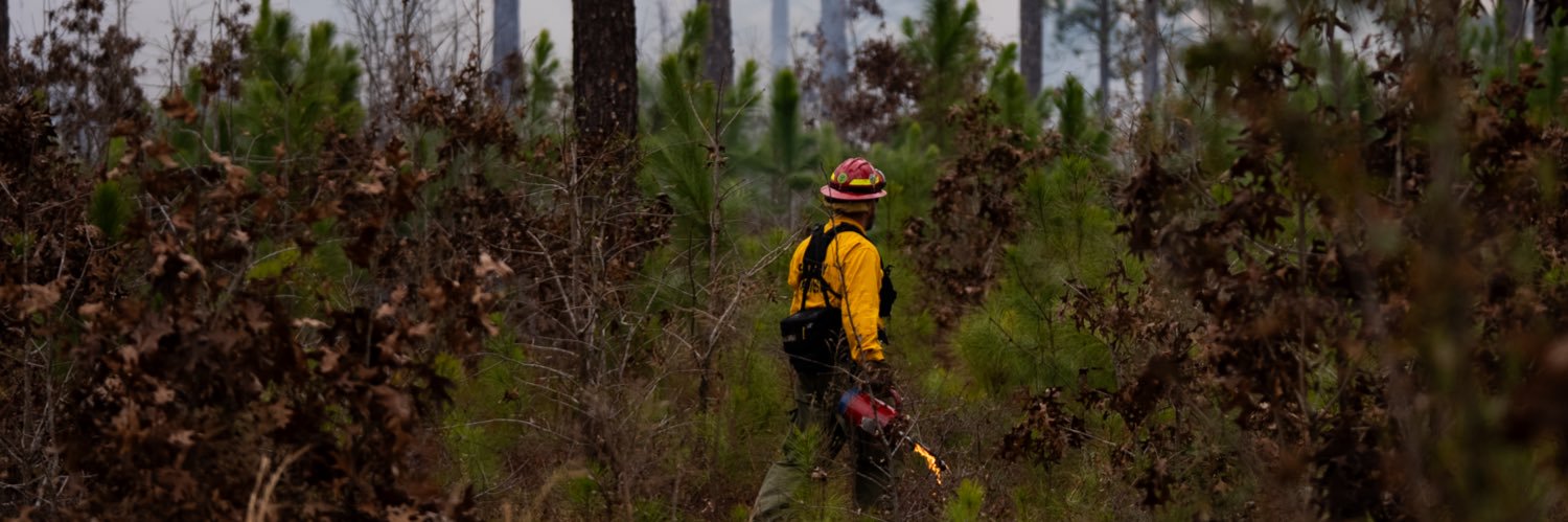 South Carolina Forestry Commission banner