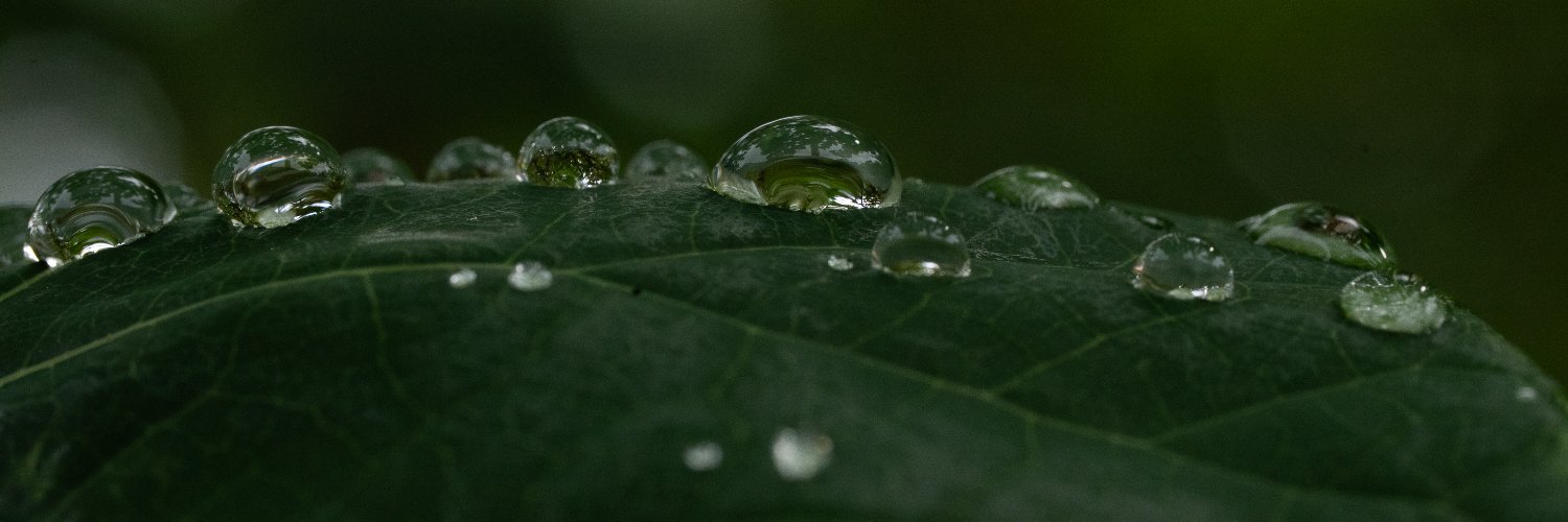 ForestryCommish's profile banner image