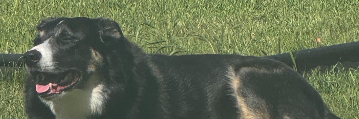 hennykdee's profile banner image