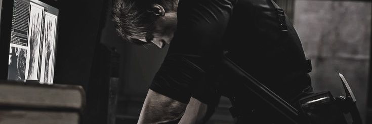 L banner