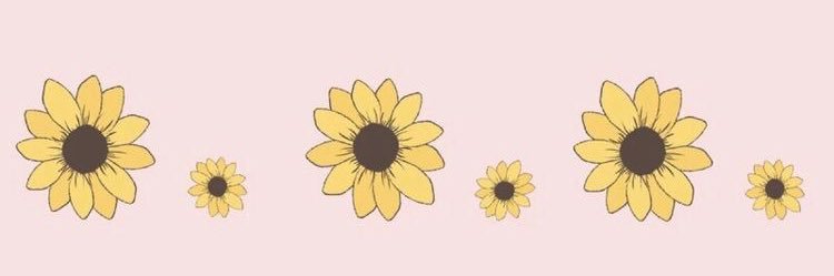 celestechiles's profile banner image