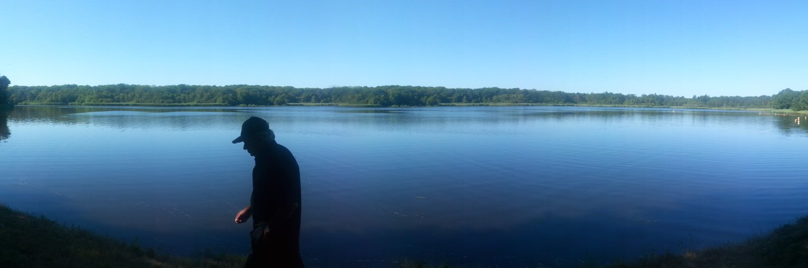 massay steven banner