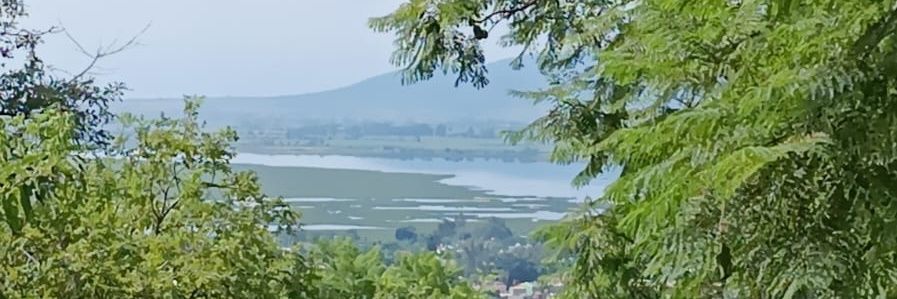 Pepe Álvarez del Castillo banner