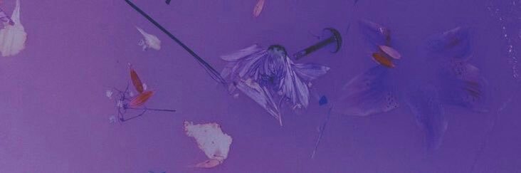 selenalisaa's profile banner image