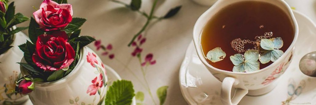 teapotlexi's profile banner image